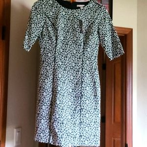 Womans Banana Republic Dress